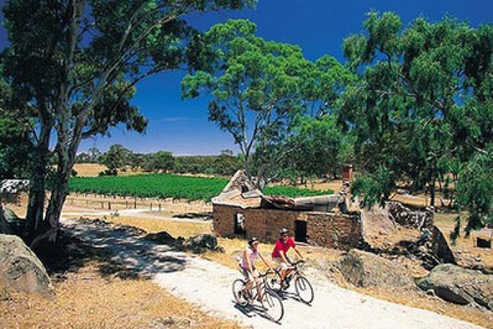 Clare Valley Winery Tours